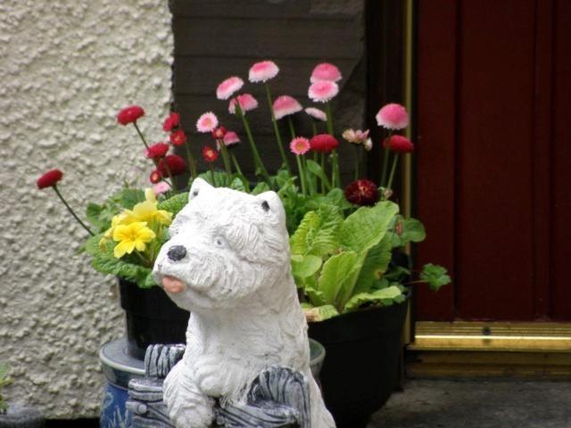 Kettle House B&B Fort Augustus Eksteriør bilde